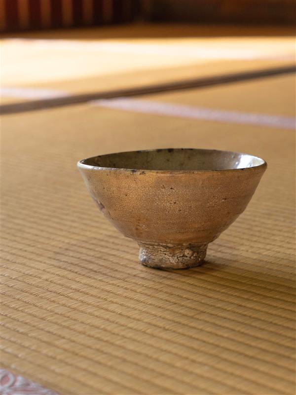 MOA美術館　エムオーエービジュツカン tweet media