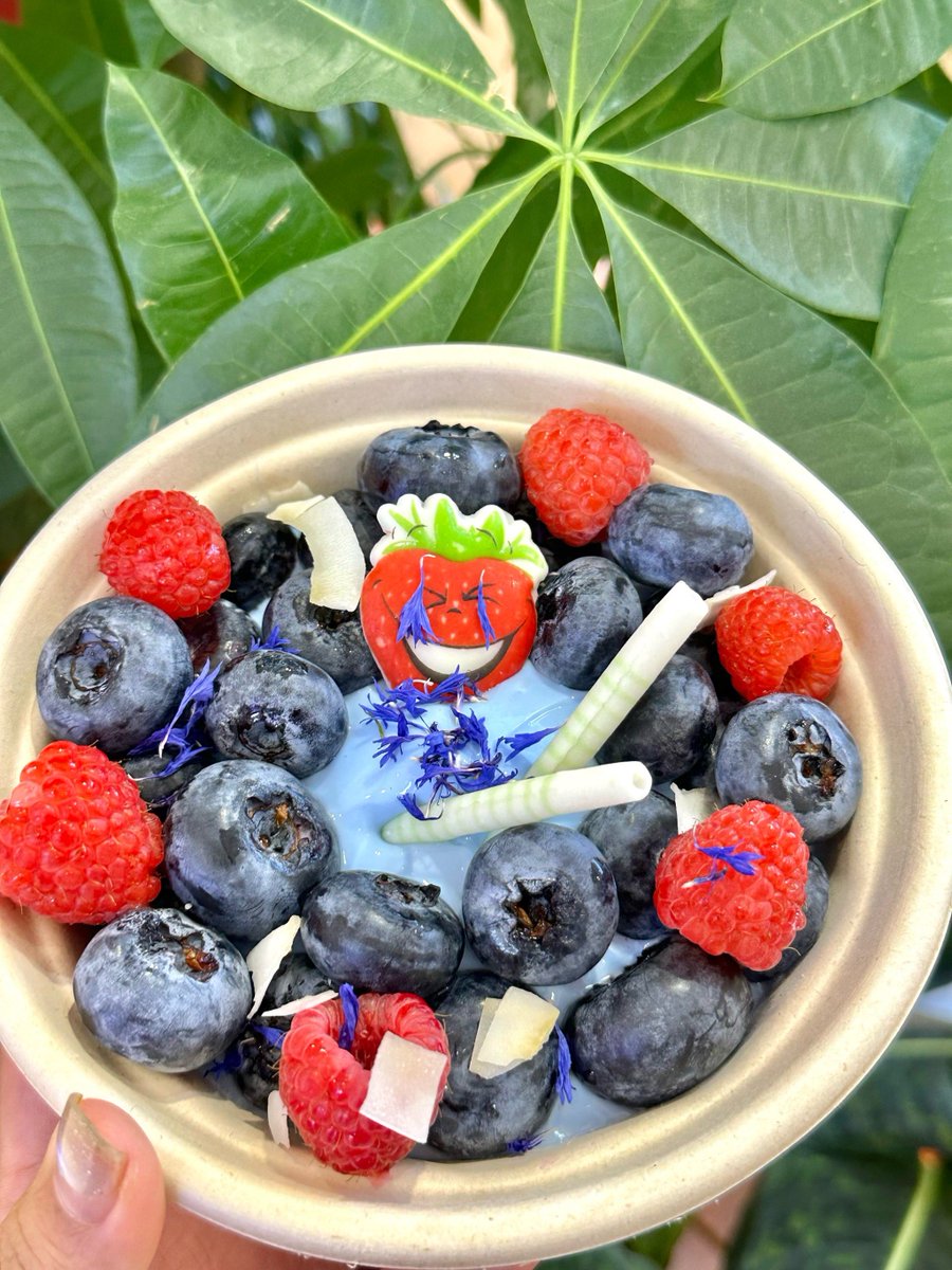 Rey.Myras tweet media