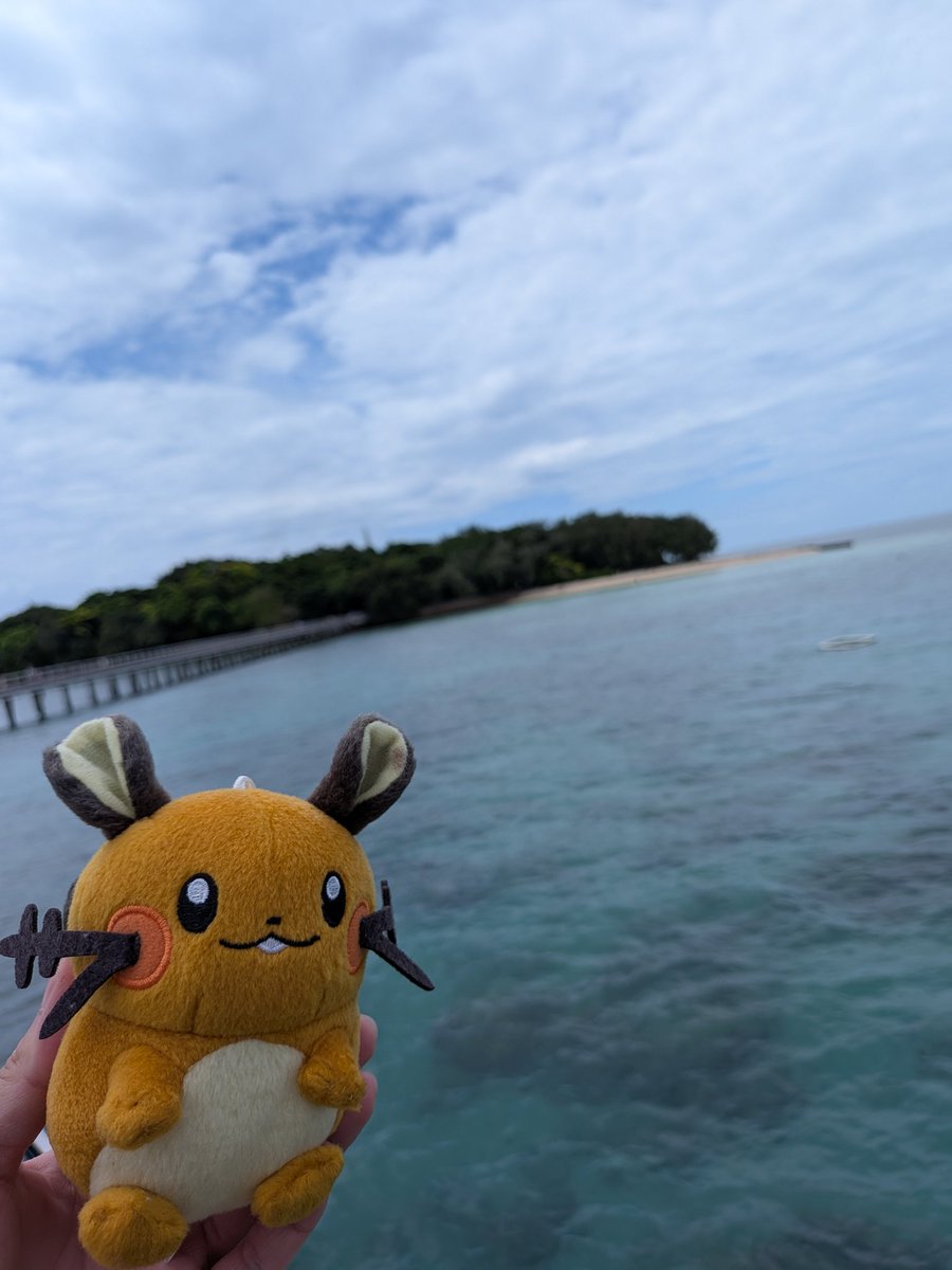Forpus_Toya's tweet photo. #南半球デデンネ https://t.co/3AERPBeKln