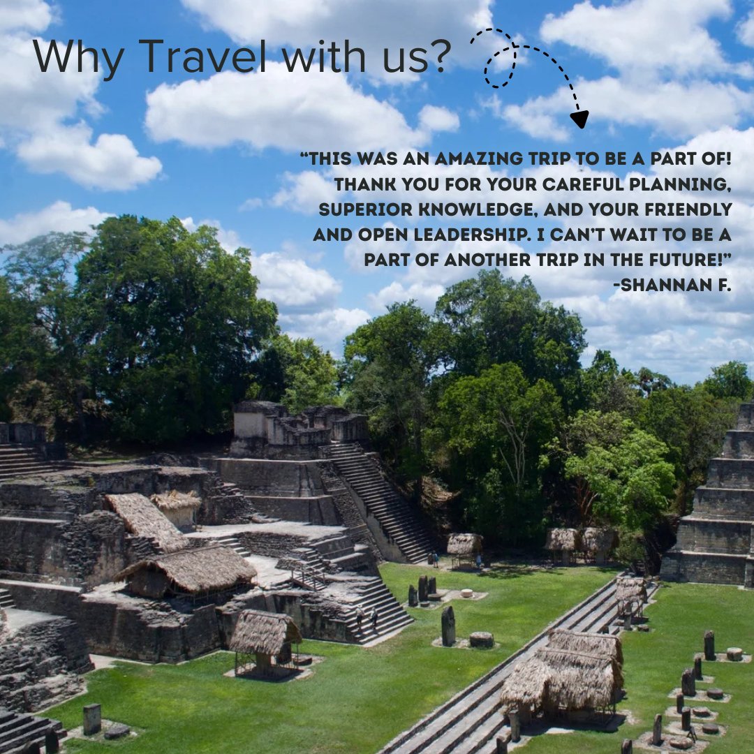 SEE Turtles tweet media