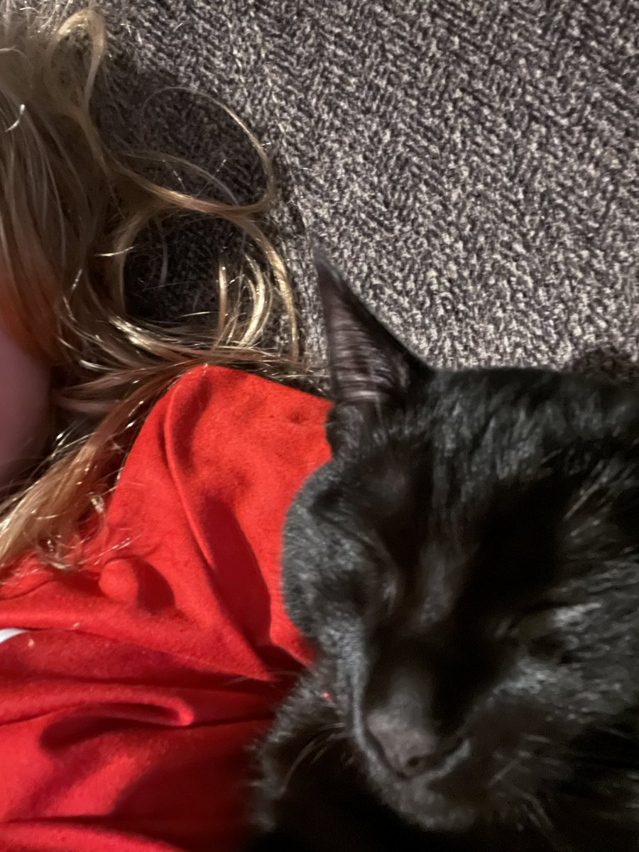 Donald Wormer (@donaldworm52958) on Twitter photo 