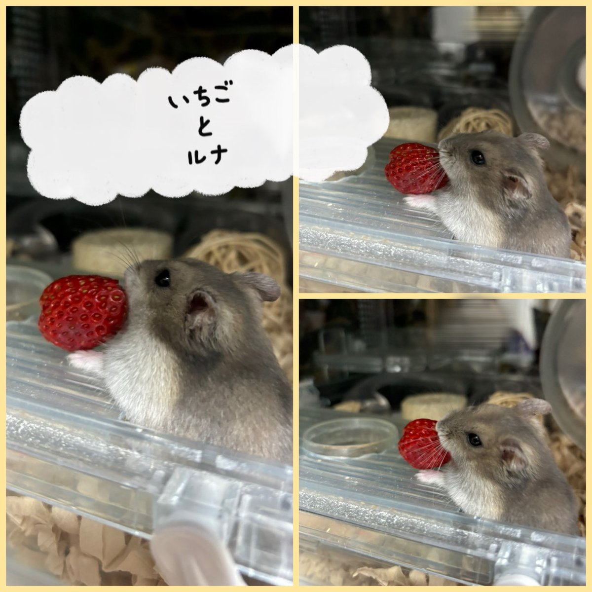 ダイナム榛原店 Since.2003.3.31 tweet media