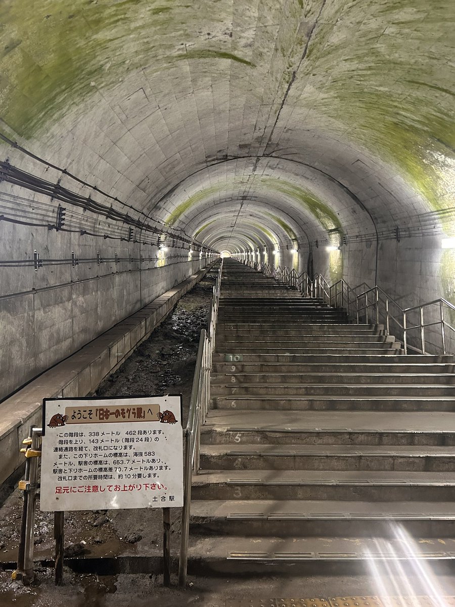 富士葵ちゃんが行ってた土合駅！
行きはよいよい帰りは怖いとはこういう事
汗だくです
地下はトイレなし、携帯の電波なしです✌️