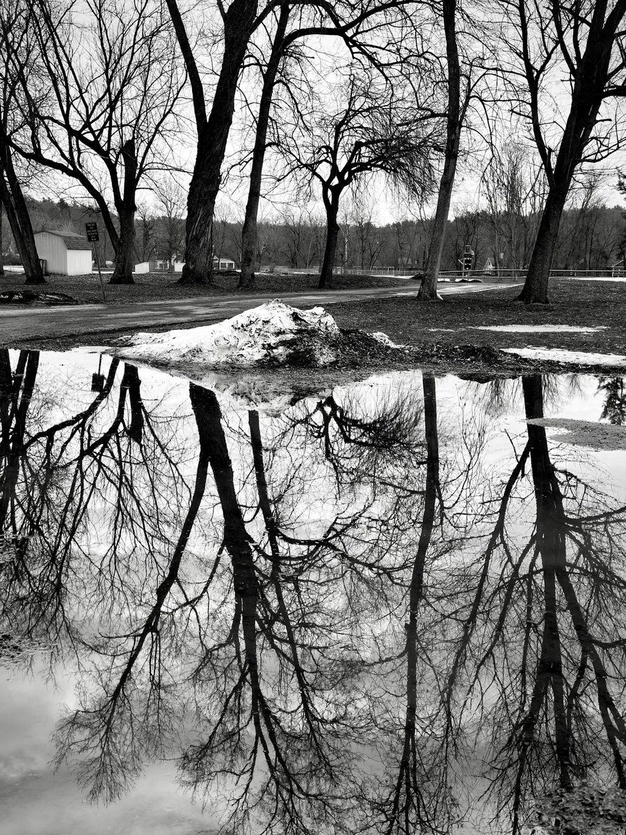 Joseph Massey tweet media