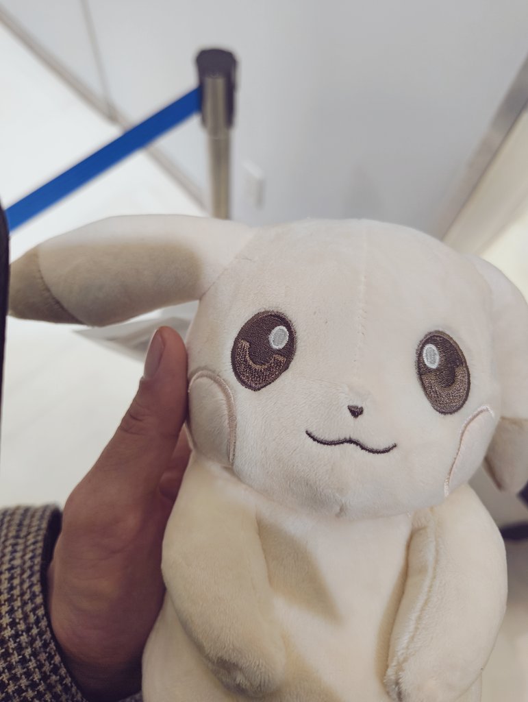 うすチュウが最近愛おしすぎて、ついにお迎えを決めました⚡️⚡️