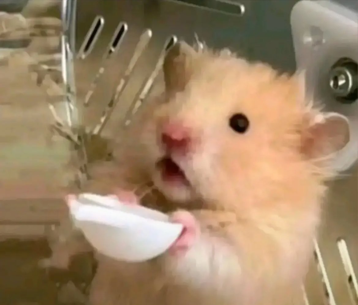 Rebequita tweet media