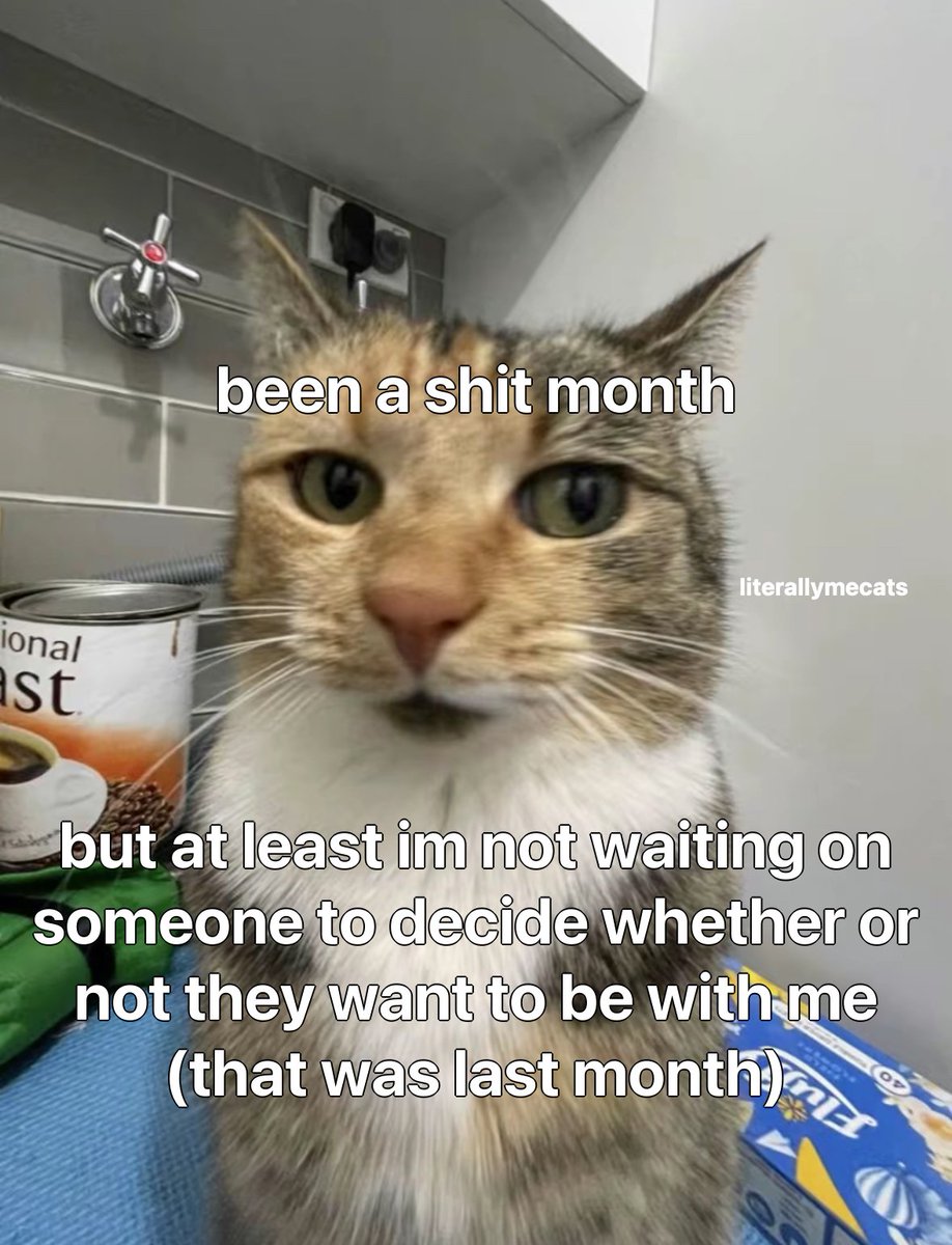 LiterallyMeCats tweet media