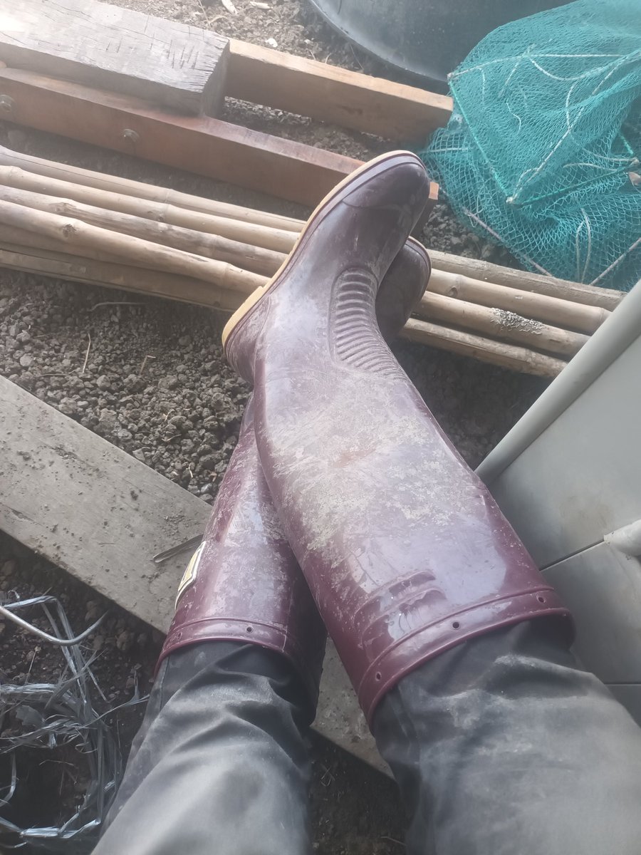 rubberboot89's tweet photo. กลิ่นเน่าๆลอยออกจาก บูทเเล้ว😅🥴❤️ https://t.co/6jarkHCbHE