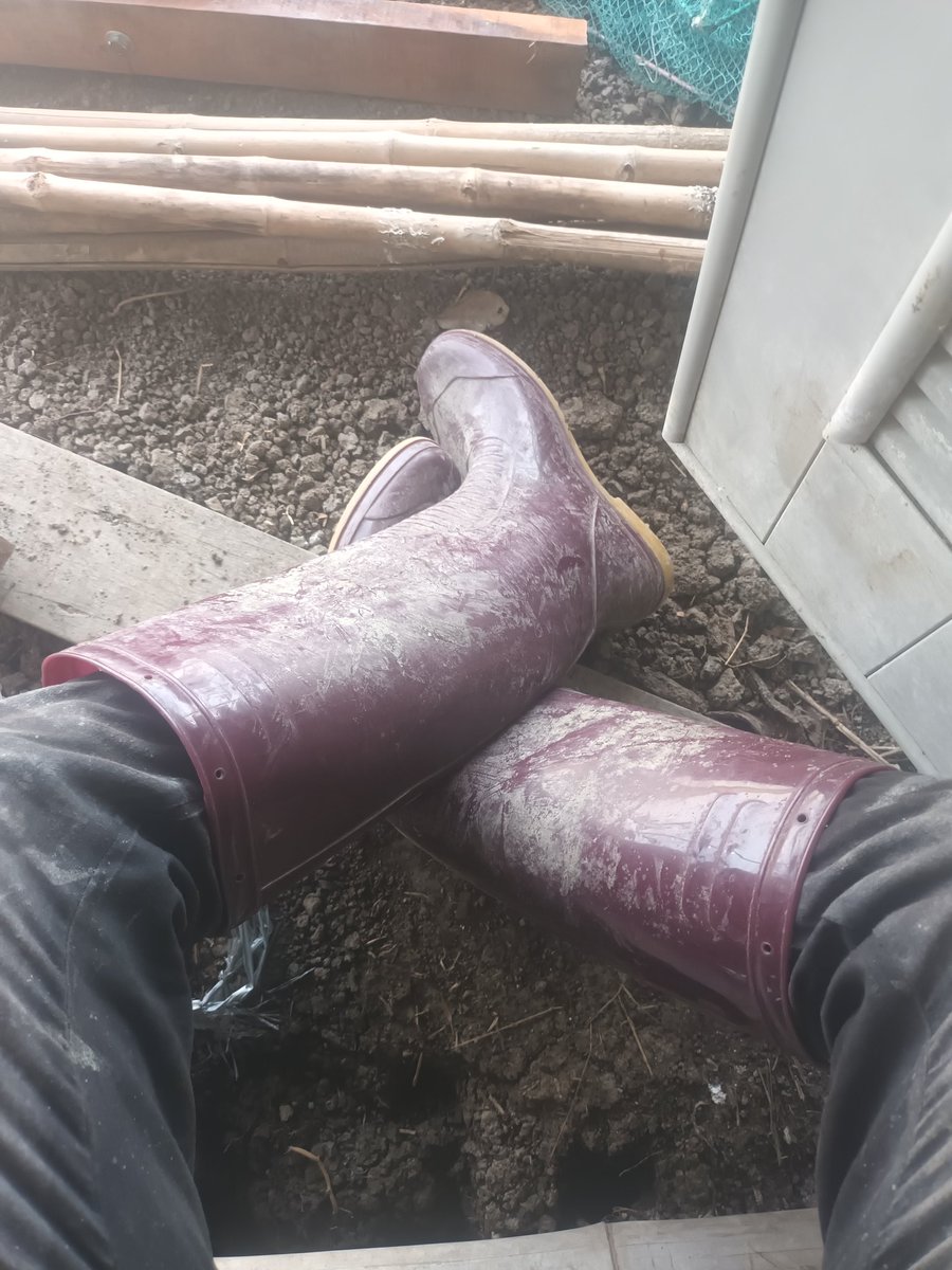 rubberboot89's tweet photo. กลิ่นเน่าๆลอยออกจาก บูทเเล้ว😅🥴❤️ https://t.co/6jarkHCbHE
