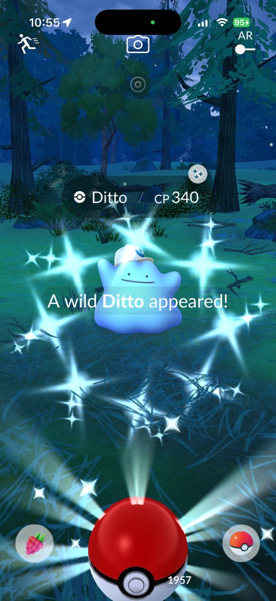 𝓶𝓼 𝓹𝓸GOBIRDS✿ tweet media