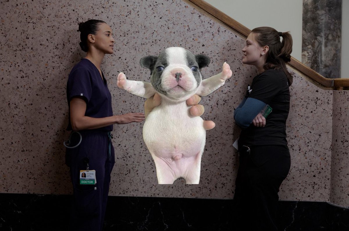 STOPPPP FIGHTINGGGG!!!!!!