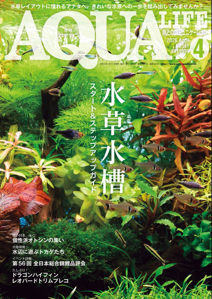 月刊アクアライフ編集部 tweet media