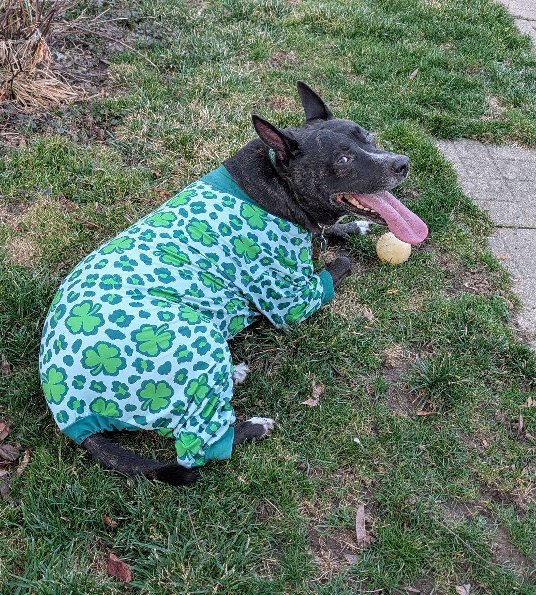 🐣🌷 Handsome Henry 🌷🐣 tweet media