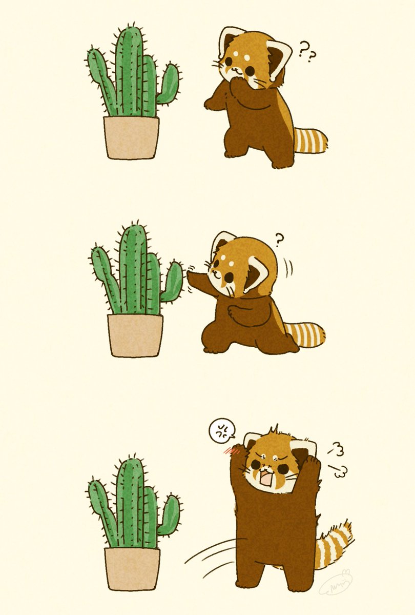 SNMy🎈 tweet media