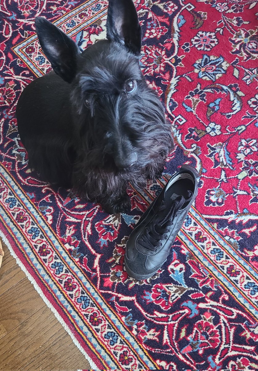 マナミ tweet media