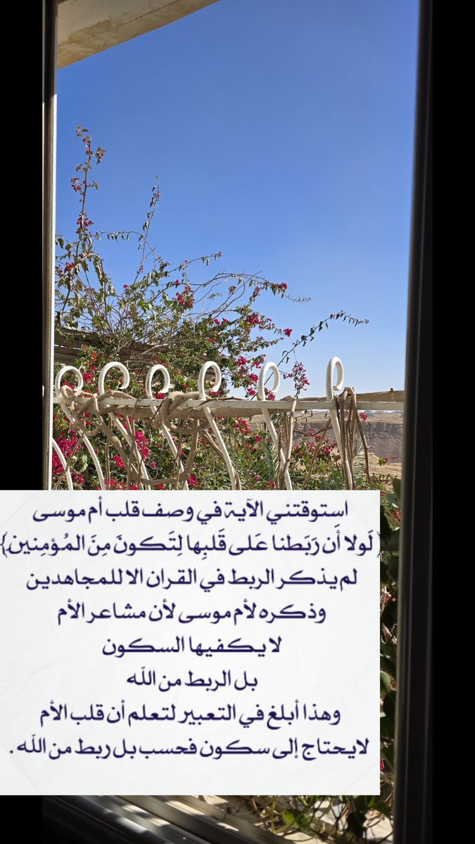 صالحة العقيلي tweet media