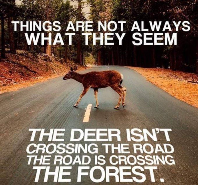 MikeHudema's tweet image. Things are not always what they seem: The deer isn't crossing the road. The road is crossing the forest! 🌳 

We need nature more than ever. #ActOnClimate

#climate #energy #nature