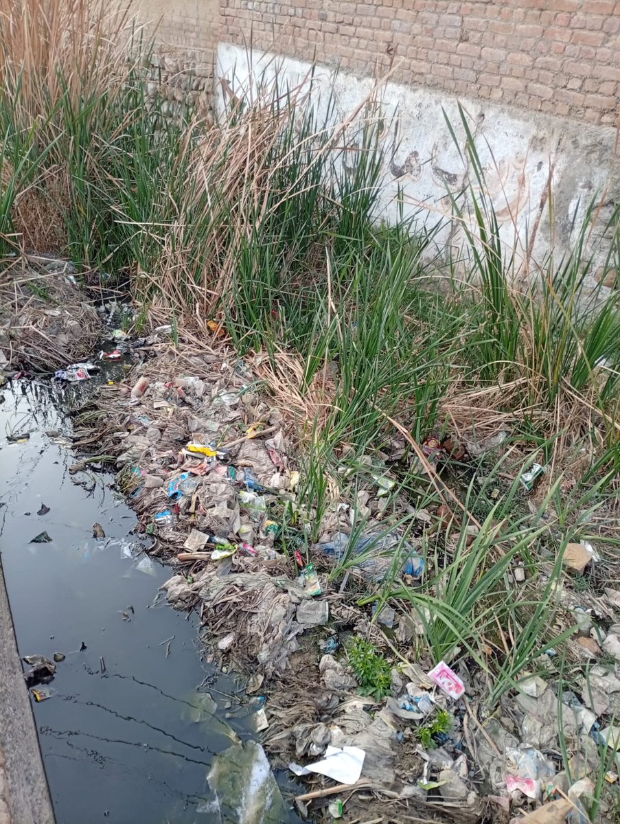 Sha97563Shah's tweet photo. @AwamKaEhsaas Request for Cleaning of Cheeno Tall Water Channel irrigation department plz clean 

It is humbly requested that the Cheeno Tall water channel is currently filled with mud and garbage which is causing obstruction in the flow of water Due to this issue
 the local people https://t.co/rW1MW7mRw5