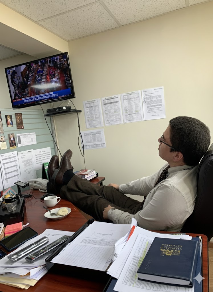 #PorEstosNo 🇵🇪 Movimiento Ciudadano 🇵🇪 tweet media