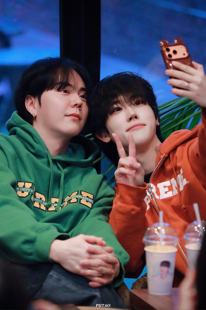 PUTAO🍇 포도 tweet media