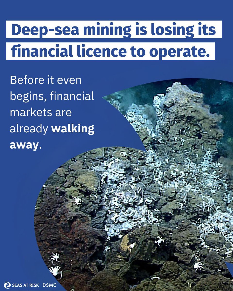 Deep Sea Mining Campaign tweet media