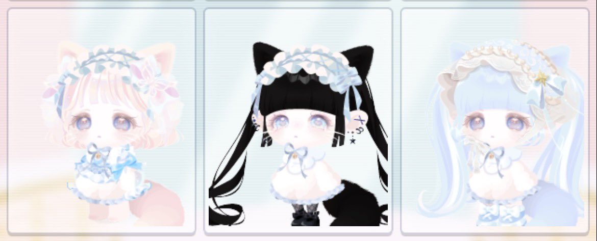 🐈⬛🐾 tweet media