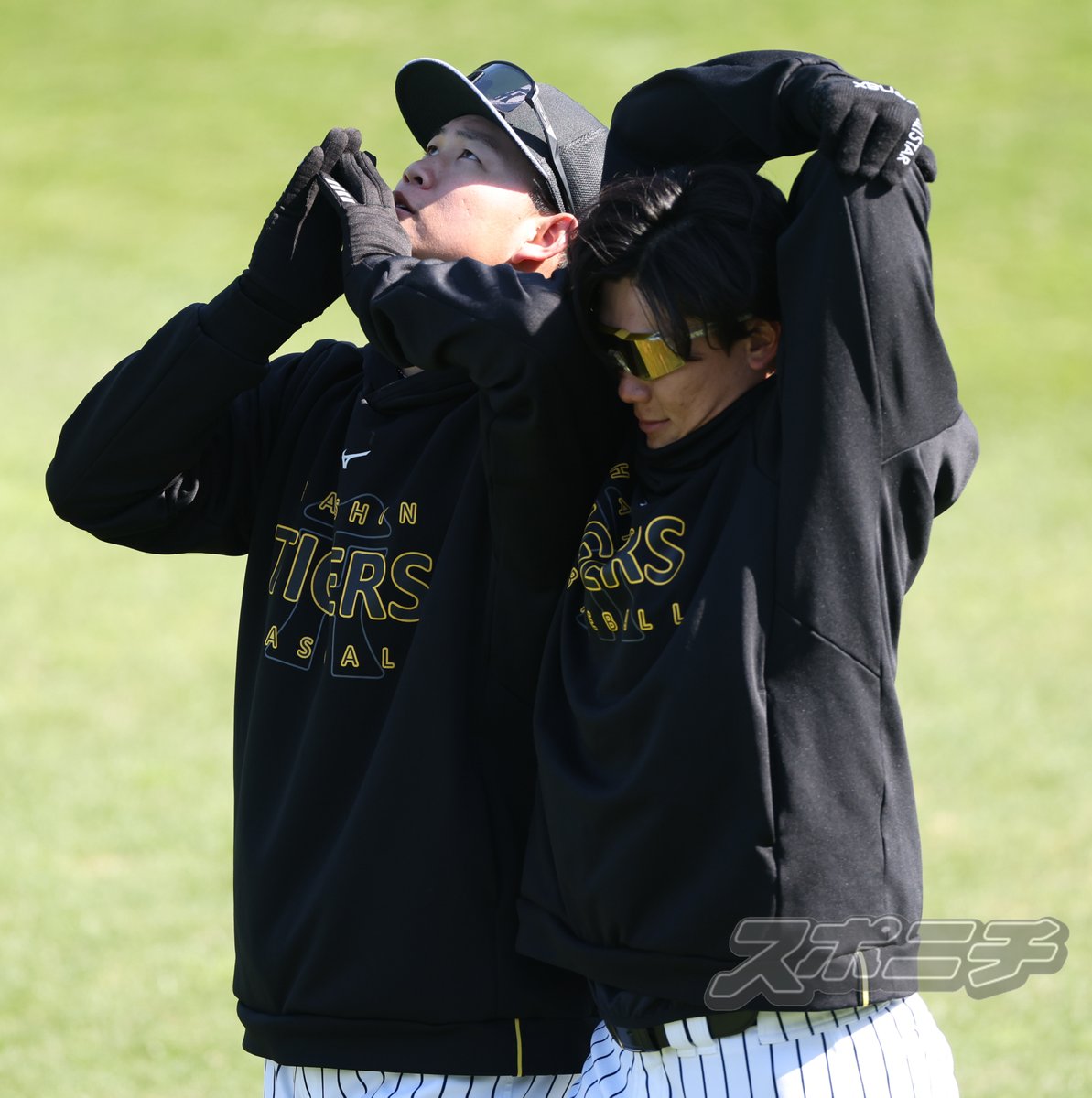 スポニチTIGERSフォト tweet media