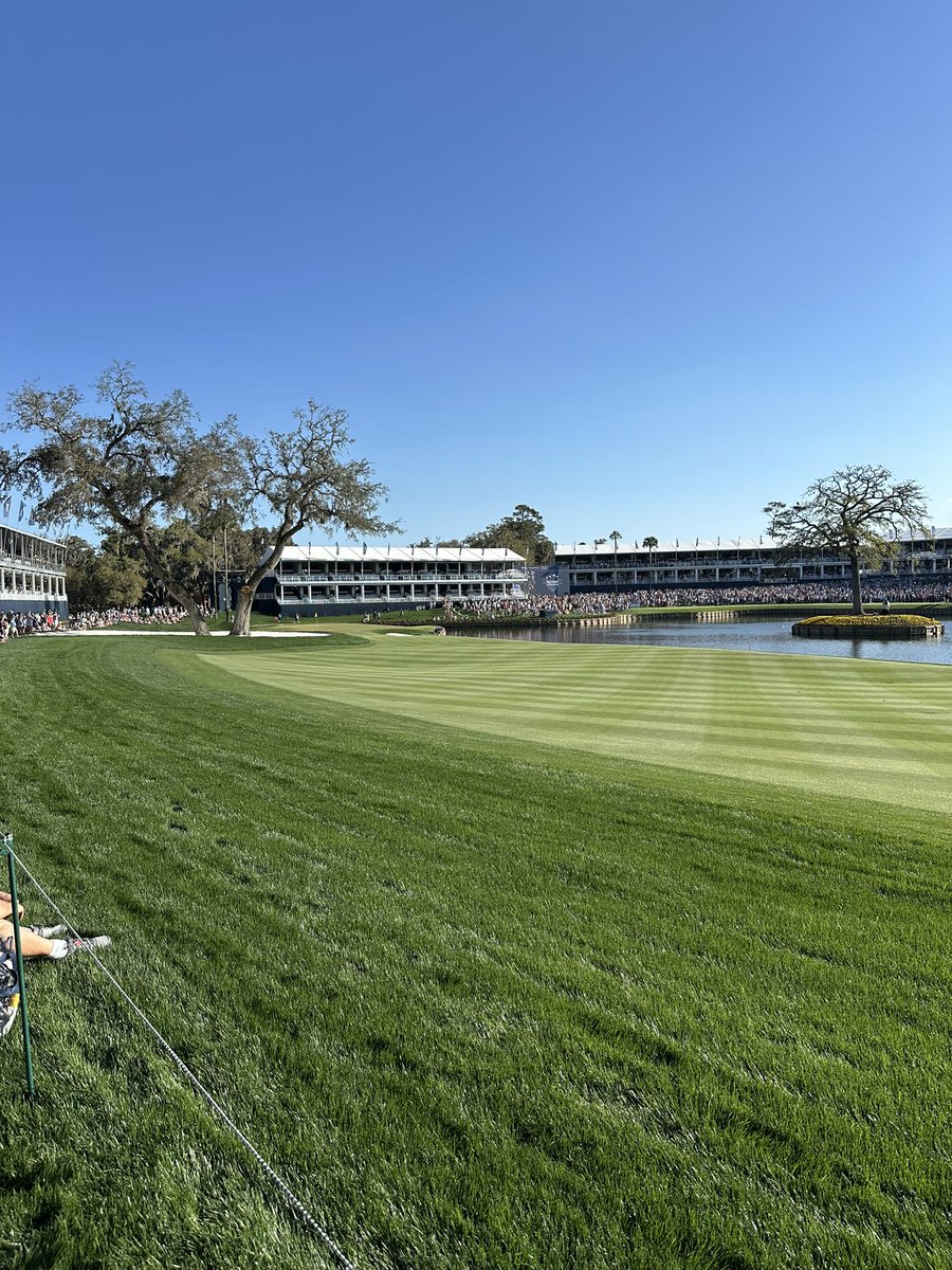 Ross Mummah tweet media