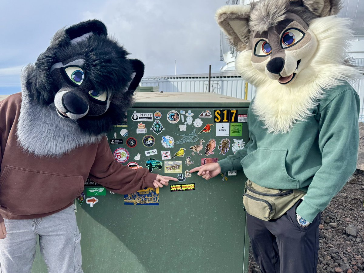 Jackpot🔞 tweet media