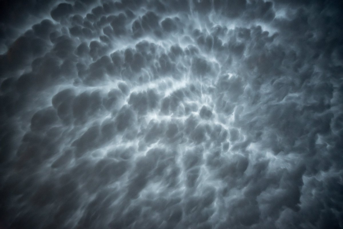 Phil Ostroff tweet media