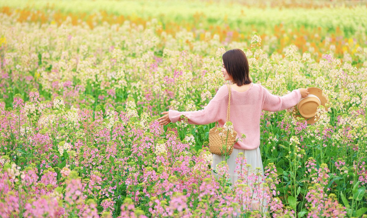 Sichuanplus's tweet photo. 🌸 Spring in Danling, Sichuan!
Walk through flower-blanketed villages, ride a train through bloom seas, and sip tea by the fields.
No filters needed—every shot is a masterpiece.
The ancient and the new complement each other perfectly.
📍 Danling, Sichuan
#SpringInSichuan https://t.co/SuD4su8vch