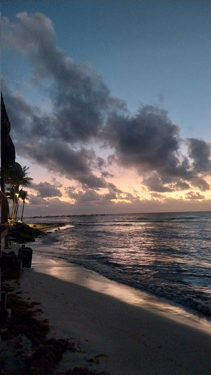 arasolis__'s tweet photo. Playita de mi corazón, me estás enamorando cada día un poco más 🌊🌴🩷 https://t.co/h7mRBcK5av