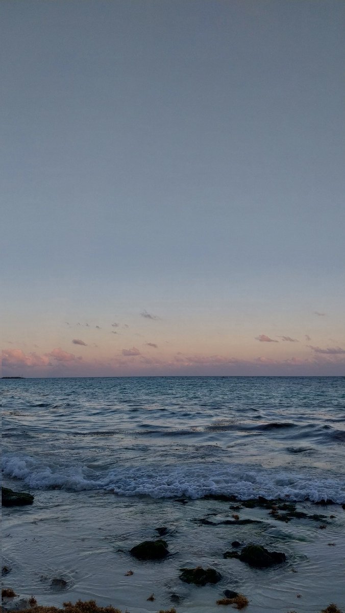 arasolis__'s tweet photo. Playita de mi corazón, me estás enamorando cada día un poco más 🌊🌴🩷 https://t.co/h7mRBcK5av