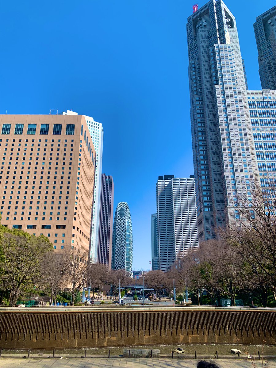 tim togawa🕊NO WAR tweet media