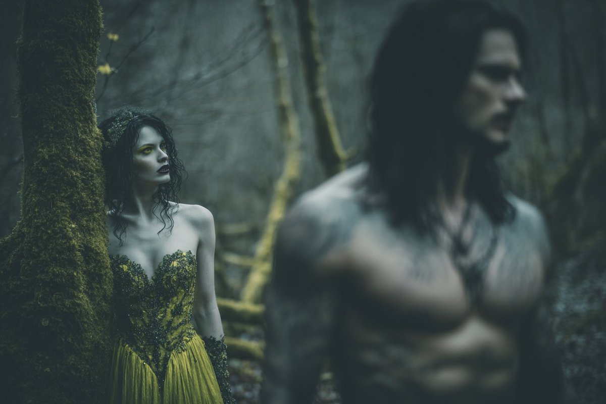 Seven Gray Sparrows tweet media