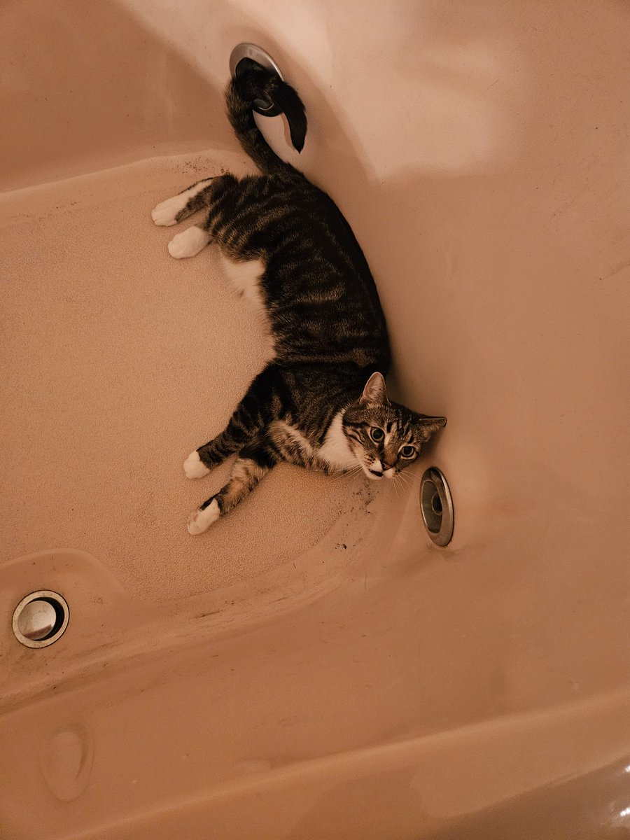 I give you jasper