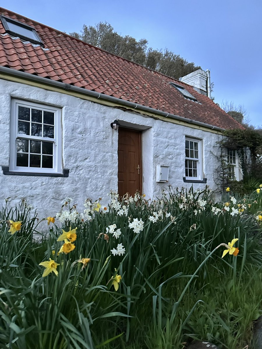 gnsymutterings tweet media