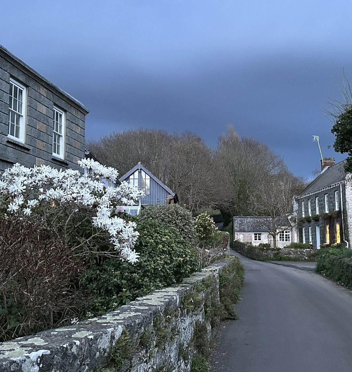 gnsymutterings tweet media