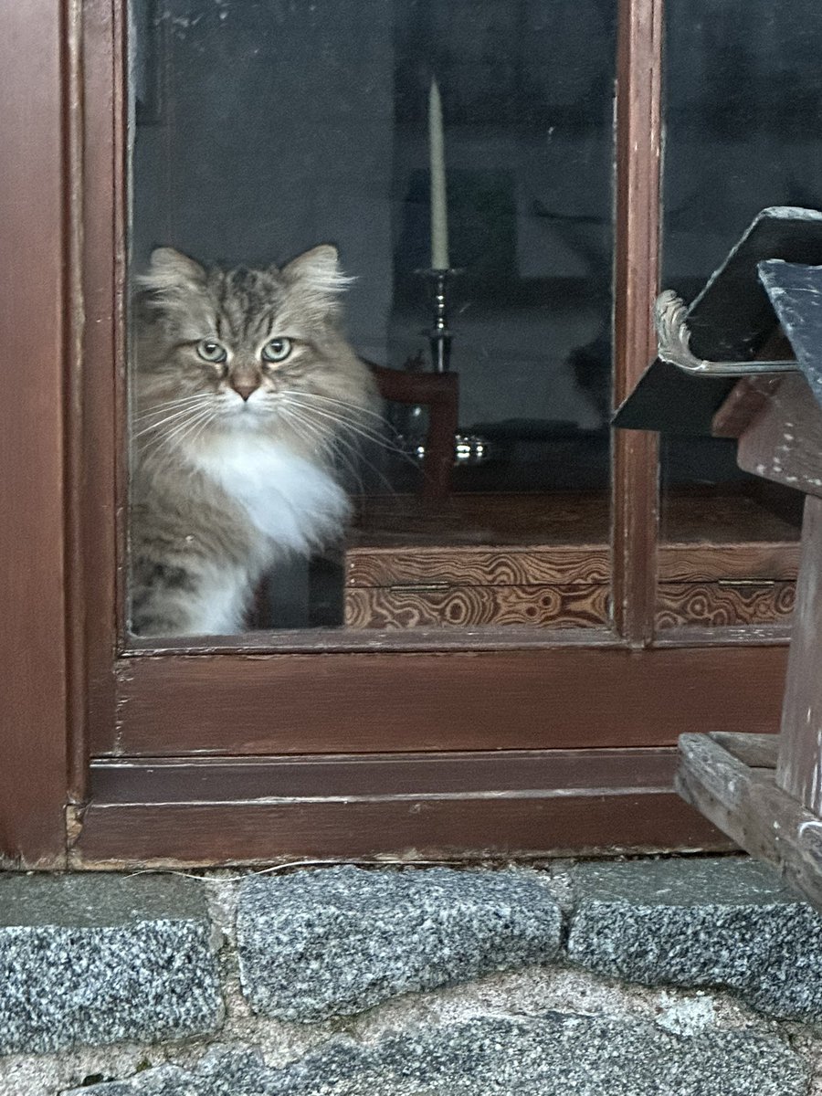 gnsymutterings tweet media