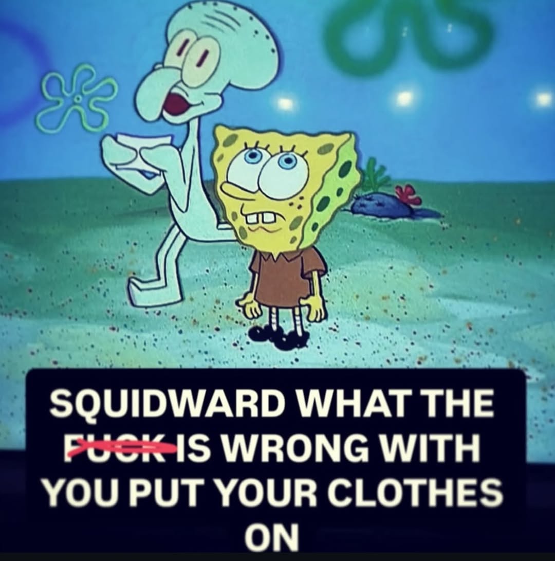 sponge.mp4 tweet media