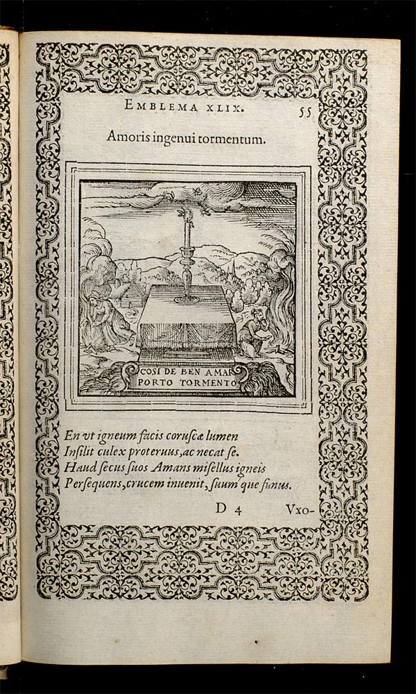 Lobstar Wilde tweet media