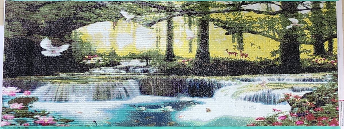 🌰まろん🌰 tweet media