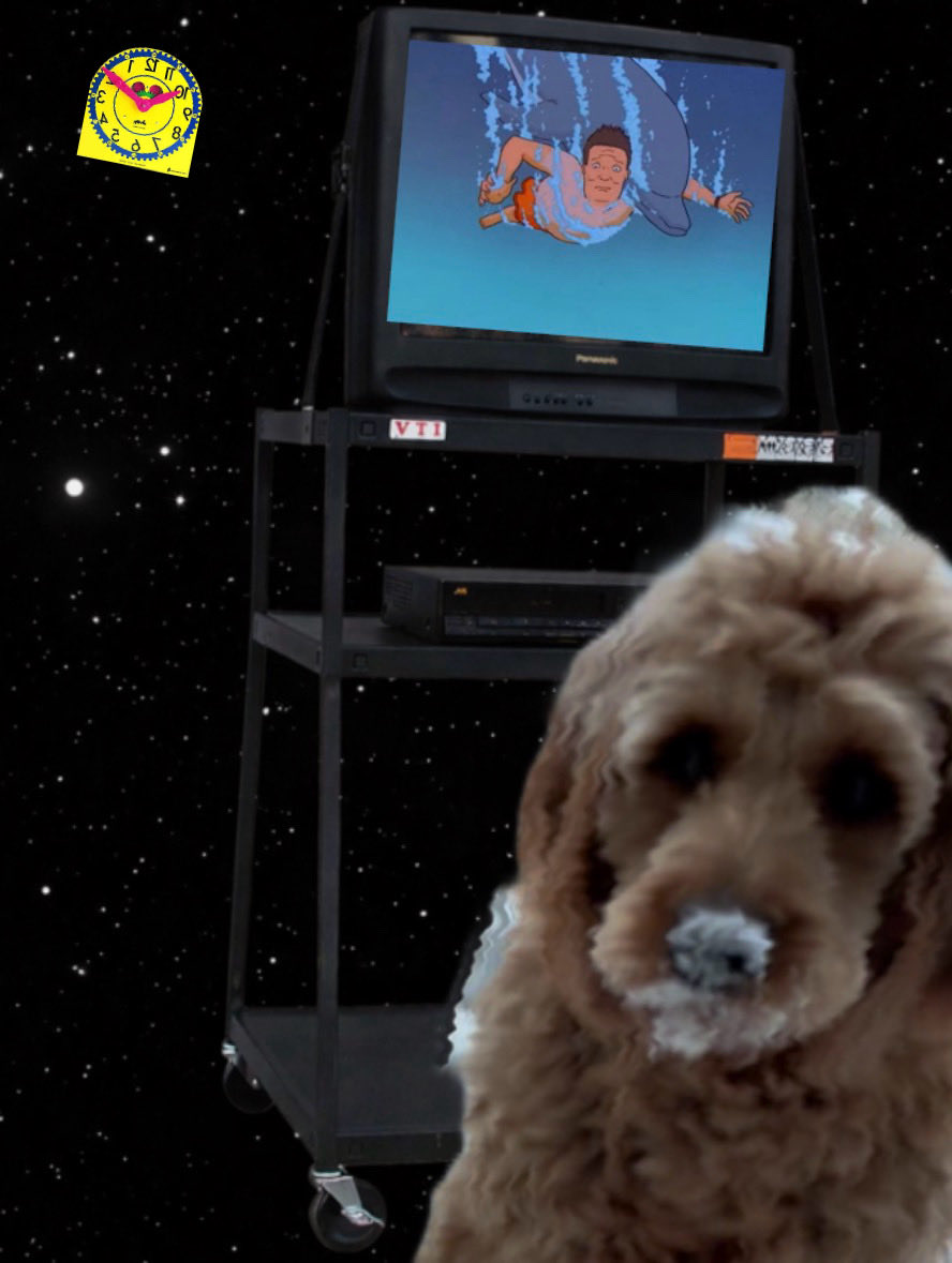 introspectiveu's tweet photo. Dood reporting live from space:

reality is once again behaving like a cartoon that aired too early.

First the dolphin story.
Then the realization that King of the Hill somehow already had the vibe.

At this point I’m not asking whether art imitates life.

I’m asking why comedy keeps briefing us before reality does.

#breakingnews 
#dolphinstory