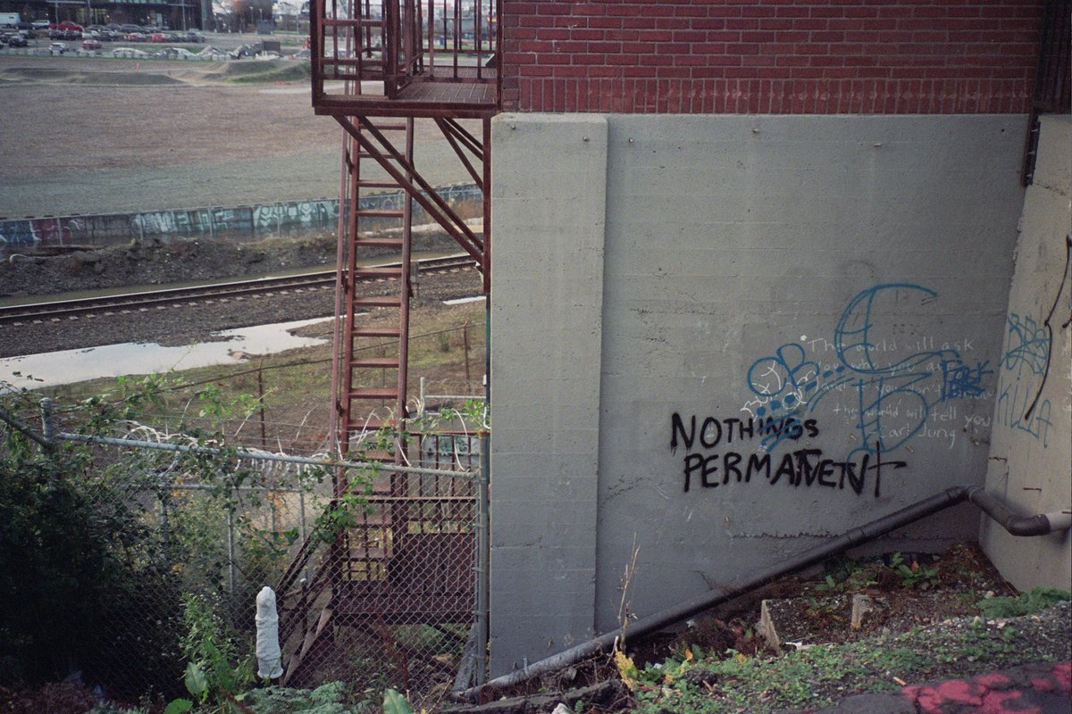 𝖌𝖜𝖊𝖓𝖉𝖔𝖑𝖞𝖓 tweet media