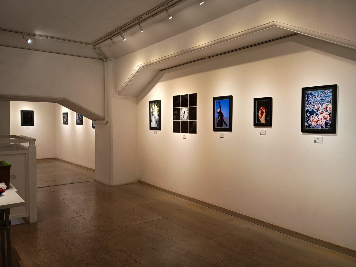 irorimura2005's tweet photo. ＼開催中／

▶大阪大学写真部
学外展 2026
　
会期┃2026/ 3/11(水）～ 3/16（月）
時間┃12：00～19：00 （最終日は17:30まで）
会場┃イロリムラ[89]画廊 展示室２・３
大阪市北区中崎1-4-15

大阪大学写真部
@handaiphoto　https://t.co/rIiL0rCWwU

#大阪大学写真部 https://t.co/YTLRVmlO5w