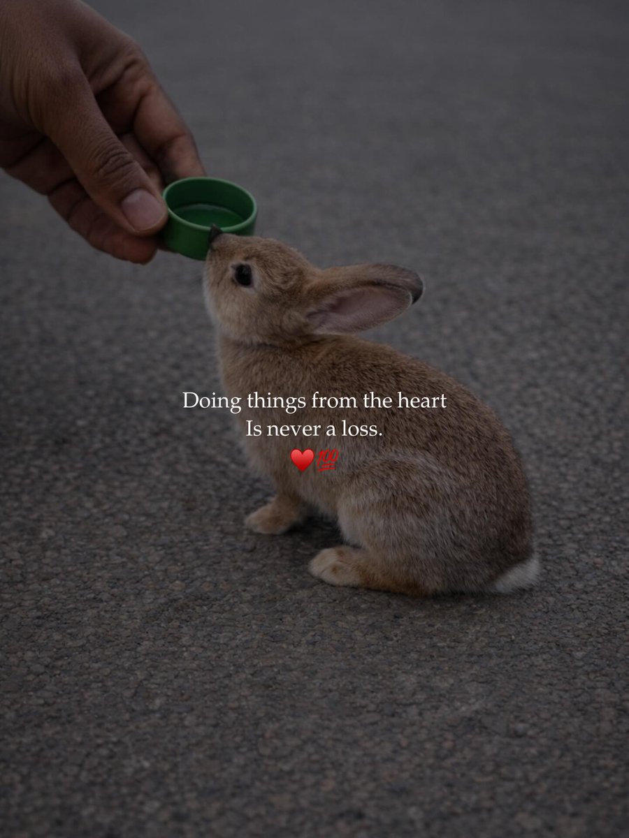 Mind_Essentials's tweet photo. https://t.co/c5wmAyxyfh