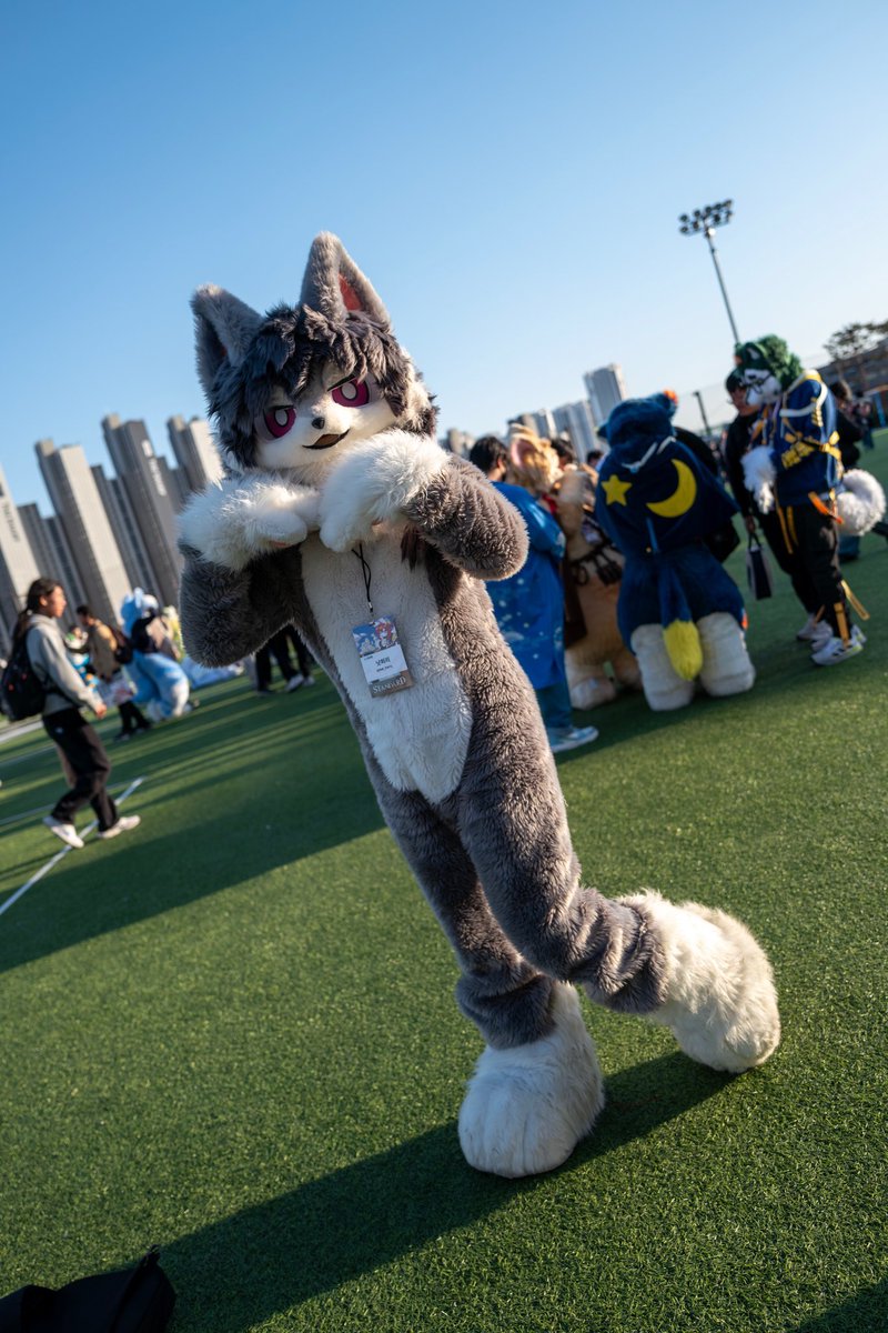 낫퍼리(하울수프26) tweet media