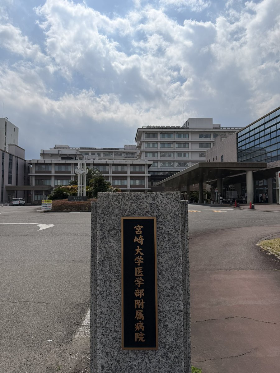 南野 森(MINAMINO Shigeru) tweet media