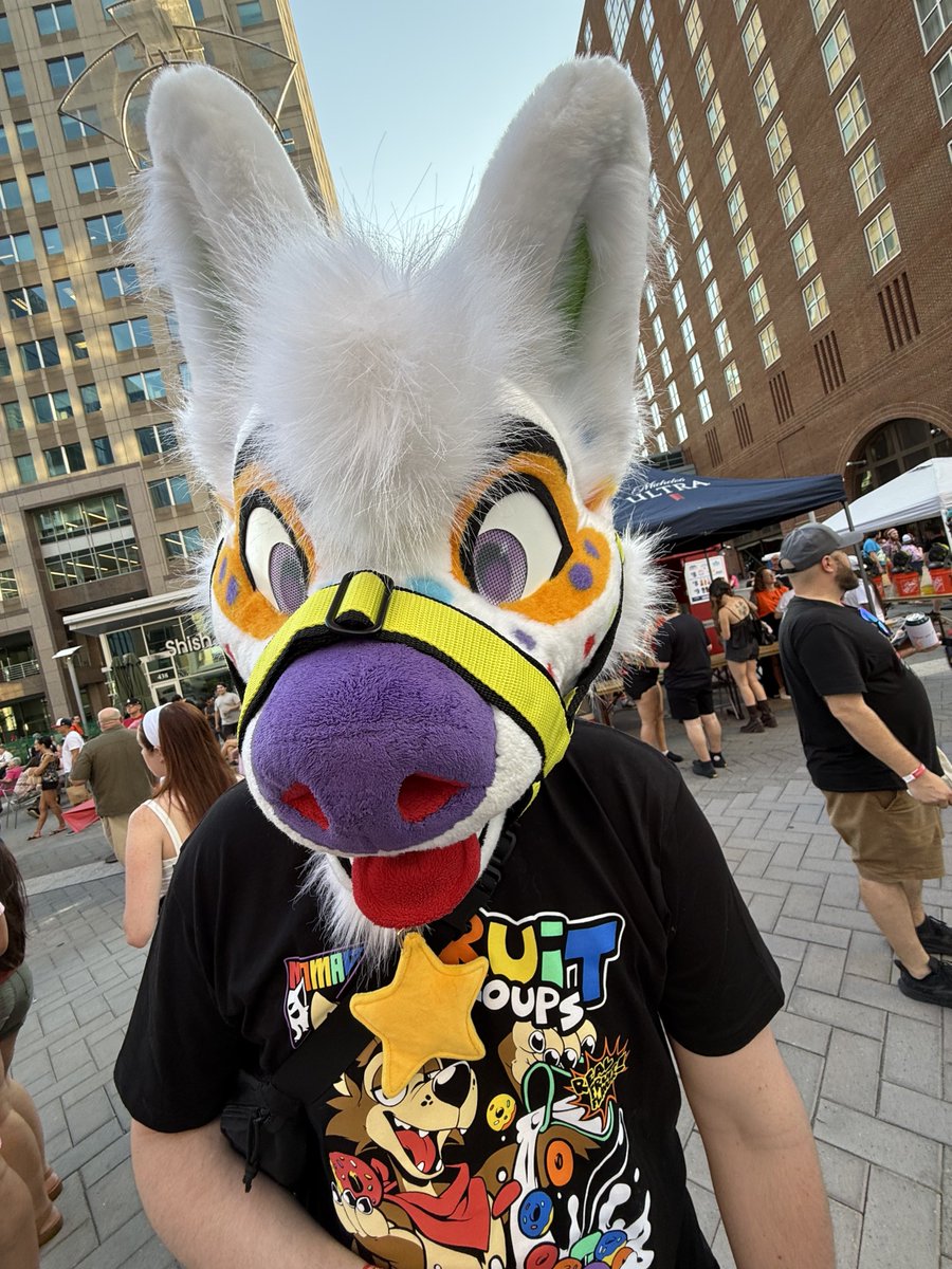 Waffle 🧇 tweet media