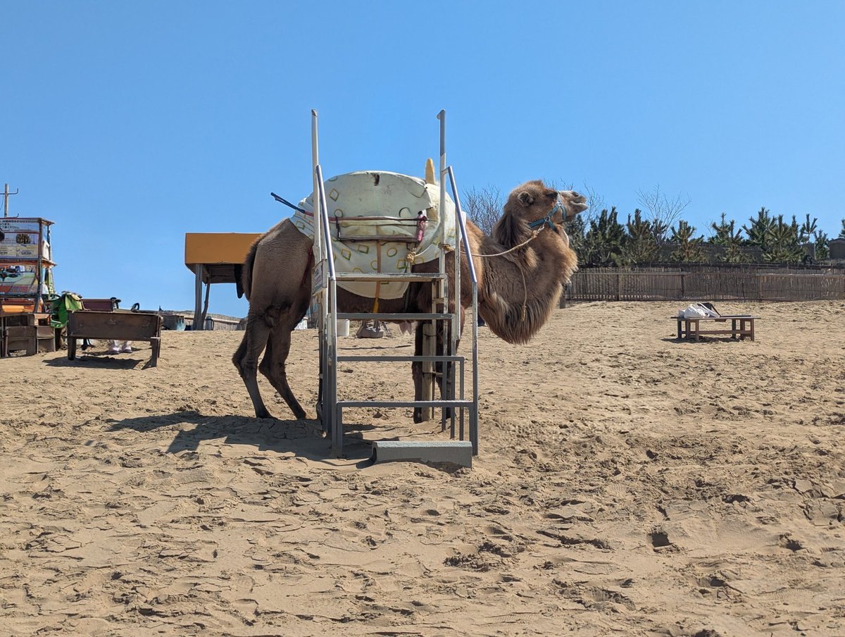 っーωー)っけんじゃ@信長出陣 tweet media